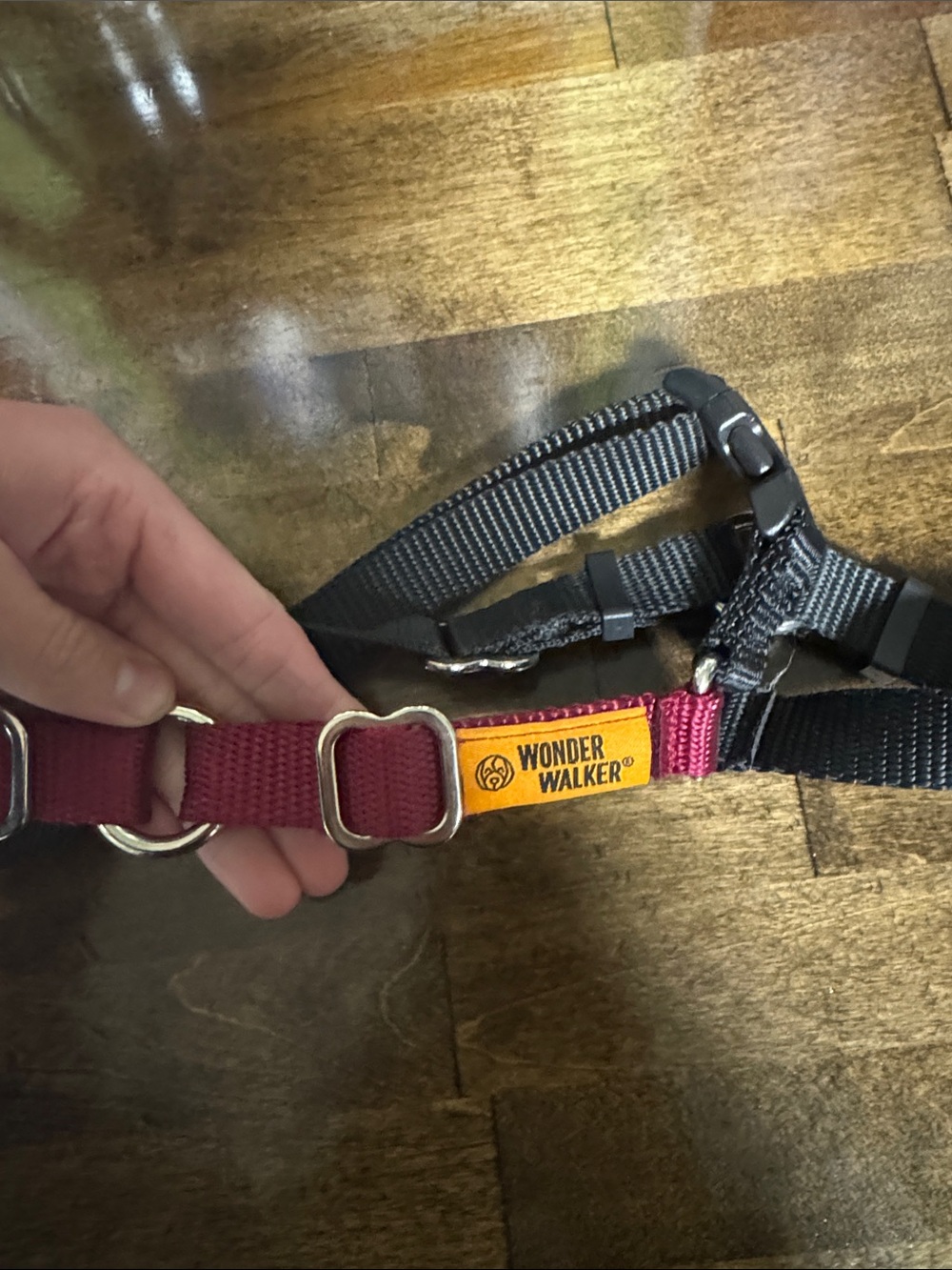 Wonder Walker Two-Tone Dog Harness in Burgundy & Black - Picture 5 of 5